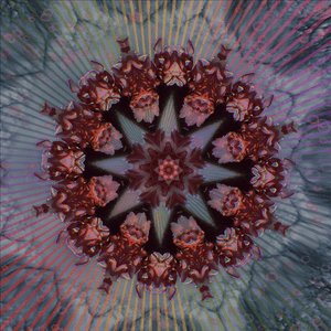 Flower Swirls 3D Print
