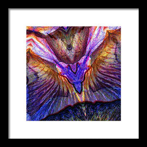 Iris - Framed Print