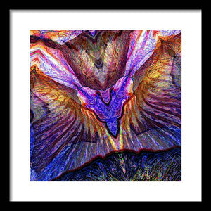 Iris - Framed Print