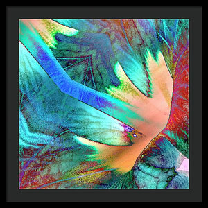 Pale Wings - Framed Print